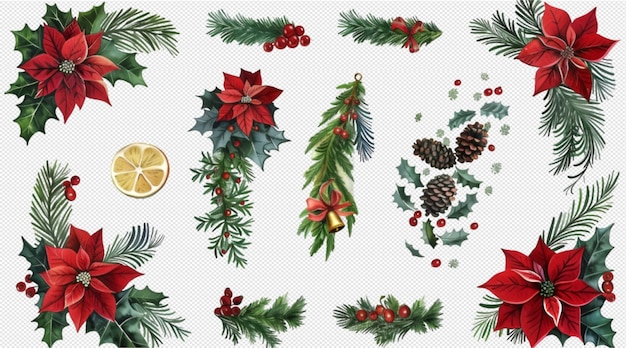 Christmas decoration on transparent background