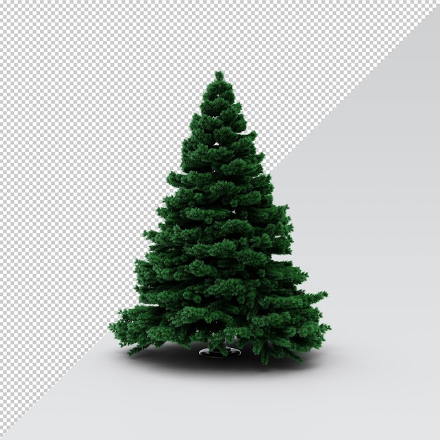 christmas tree isolated