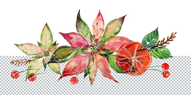 Christmas watercolor composition with poinsettia and red berries