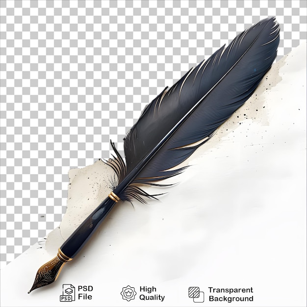 Classic Feather with Black Pen on Clear Background