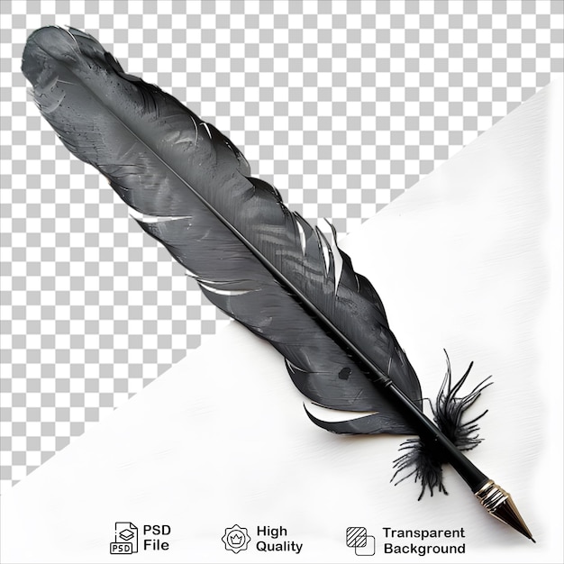 Classic Feather with Black Pen on Clear Background