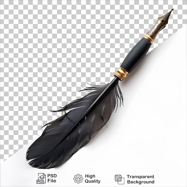 Classic Feather with Black Pen on Clear Background