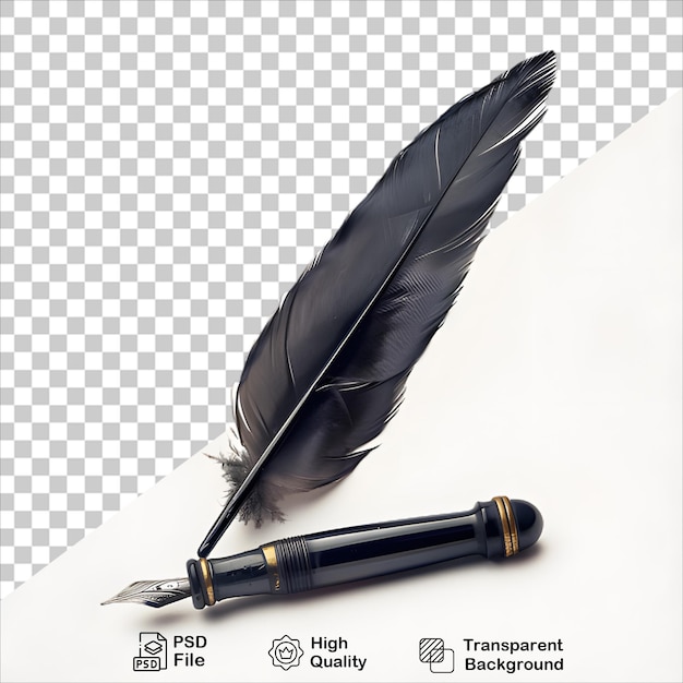 Classic Feather with Black Pen on Clear Background