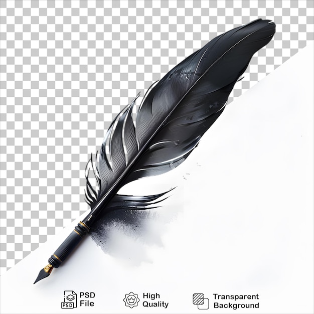 Classic Feather with Black Pen on Clear Background