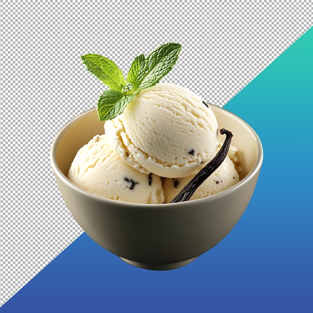 PSD classic vanilla ice cream