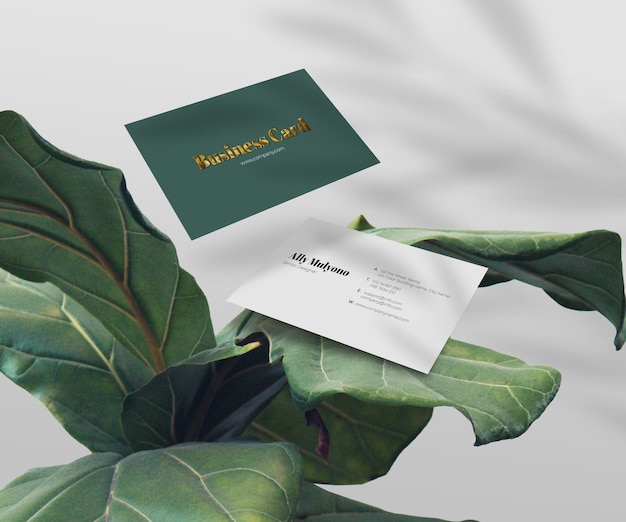 Clean minimal business card on leaf natural and tropical background logo mockup Premium Psd