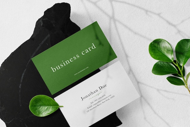 Clean minimal business card mockup on black stone with leaves