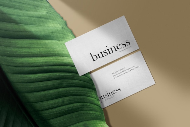 Clean minimal business card mockup on color with leaf 