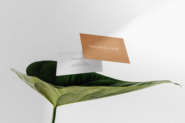 Clean minimal business card mockup floating on leaf