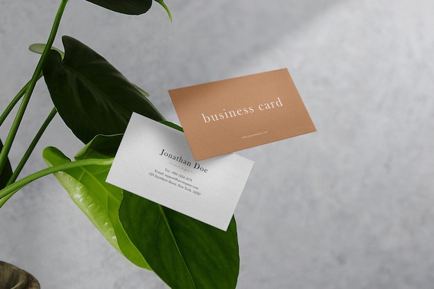 Clean minimal business card mockup floating on leaves