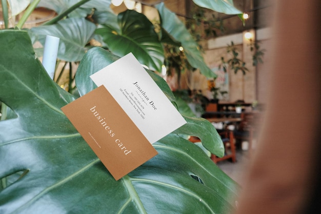 Clean minimal business card mockup on monstera in working space background PSD file