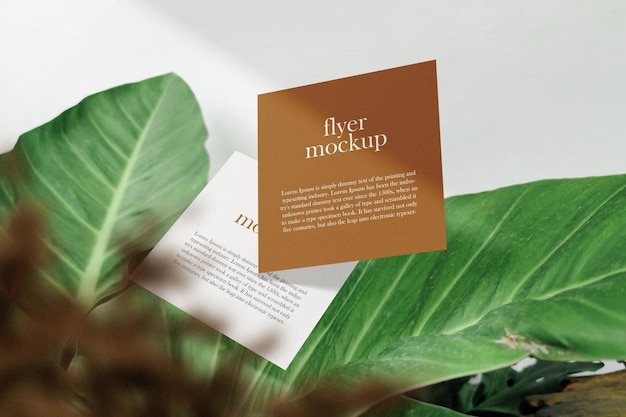 Clean minimal square flyer mockup floating on leaves with plant