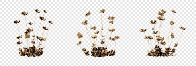 On a clear background a lonely luxurious golden plant PSD file is present