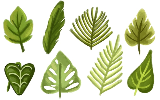 PSD clipart set of green leaves and plants with foliage in watercolor painting style