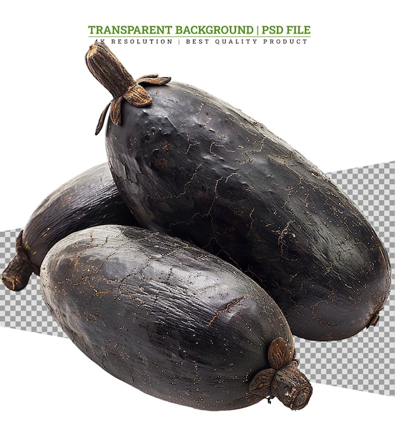 Close up of cacao fruits on a white background selective focus cacao fruits