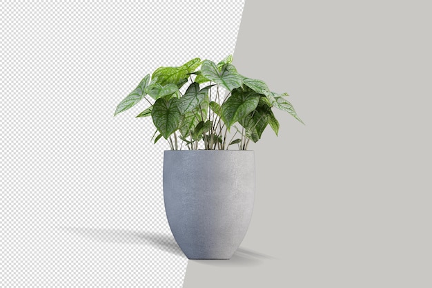 Close up on flower in pot interior 3d rendering