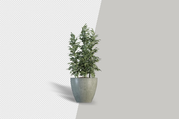 Close up on flower in pot interior 3d rendering