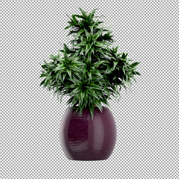 Close up on flower in a vase 3d rendering