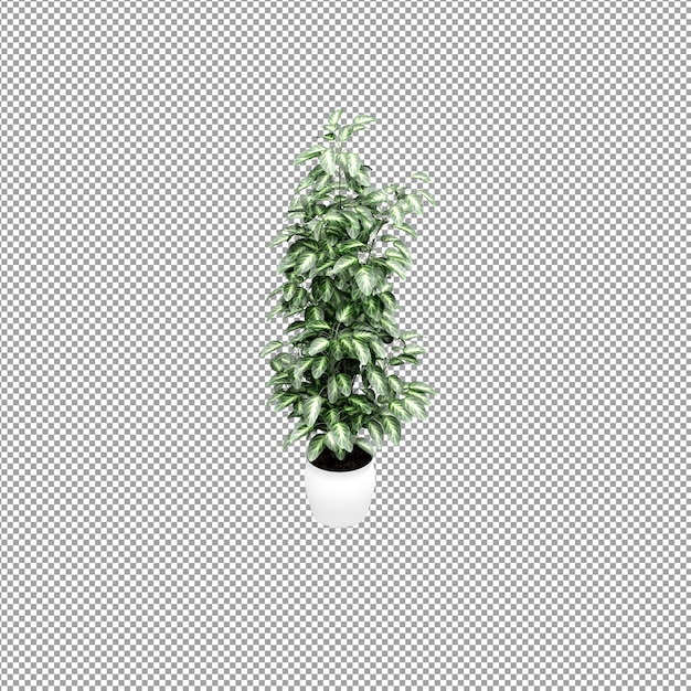 Close up on flower in a vase in 3d rendering