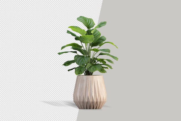 Close up on flowers in pot interior 3d mockup