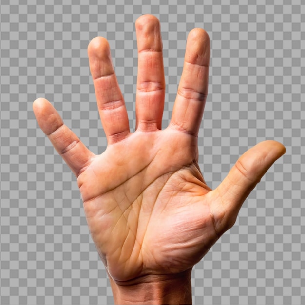 PSD close up of hand trying on transparent background