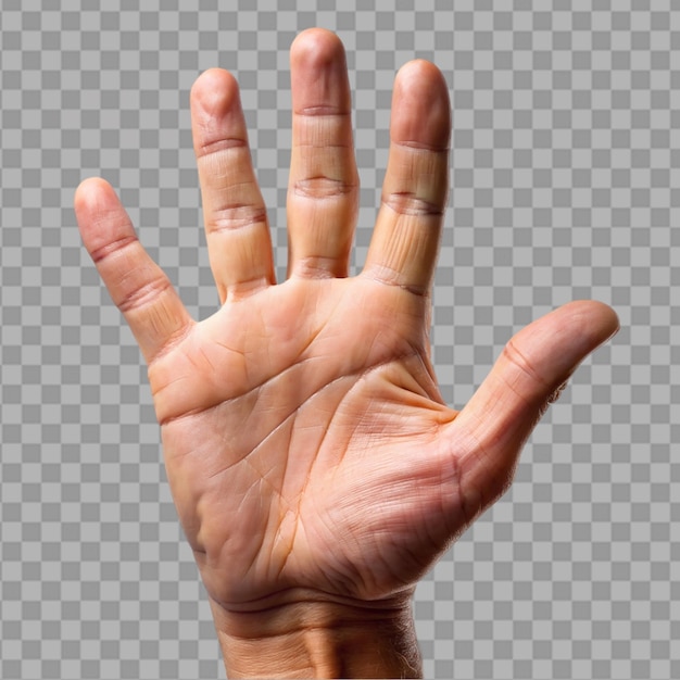 PSD close up of hand trying on transparent background