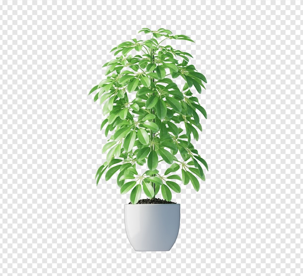 Close up on plant 3d rendering