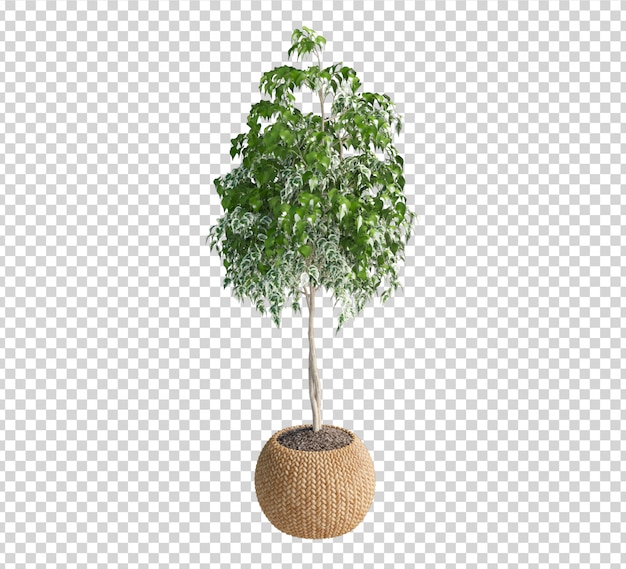 Close up on plant 3d rendering