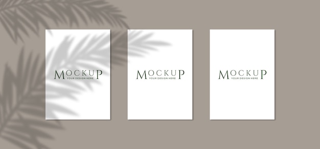 Close up on poster mockups with plant shadow 