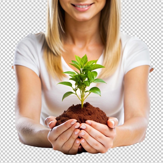 close up of a womans hands touching a plant with