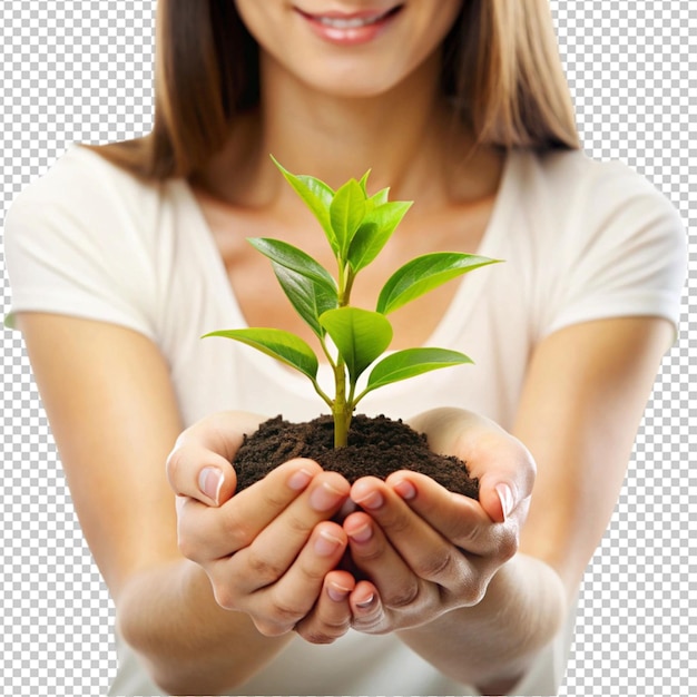 close up of a womans hands touching a plant with