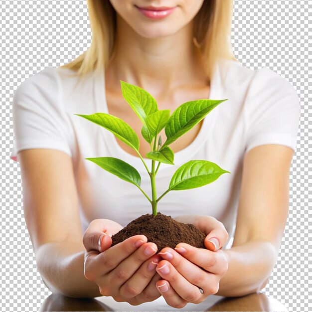 close up of a womans hands touching a plant with