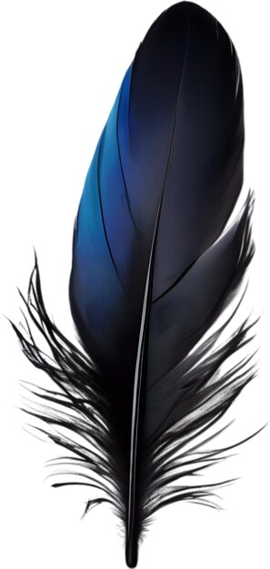 PSD closeup of black crowinspired feathers