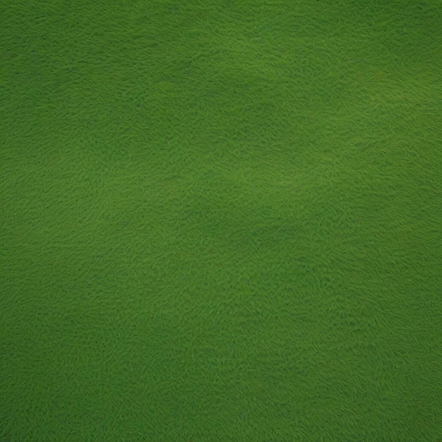 Closeup of Green grass background