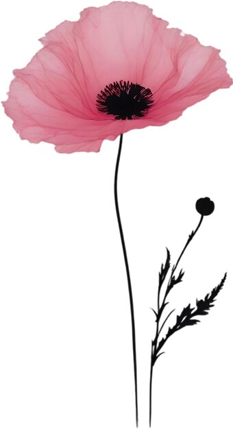 Closeup painting of poppy flowers