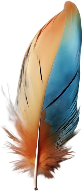 PSD closeup of rainbowcolored feathers