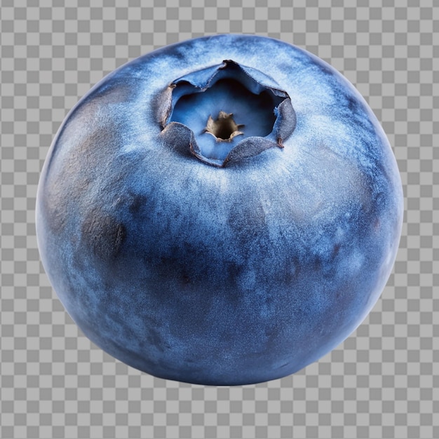 PSD closeup of a single blueberry on a transparent background