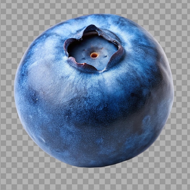 PSD closeup of a single blueberry on a transparent background