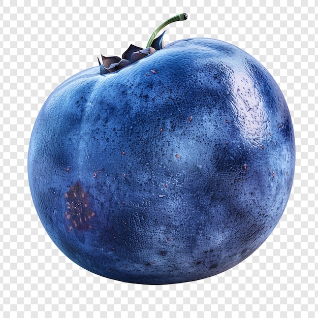 PSD closeup of a single blueberry