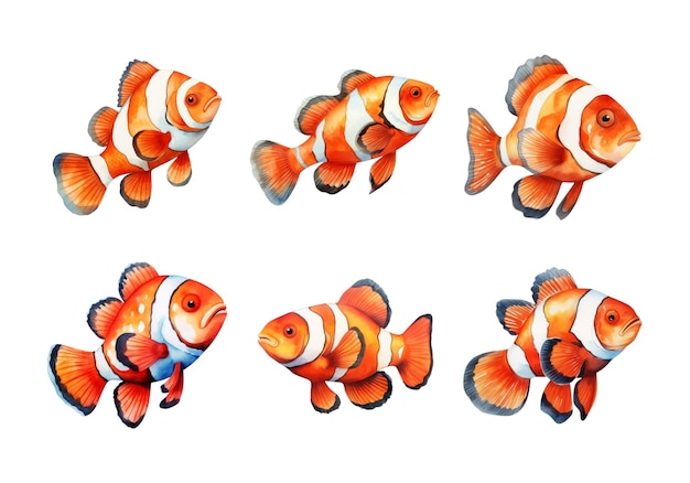 PSD clownfish summer illustration watercolor style