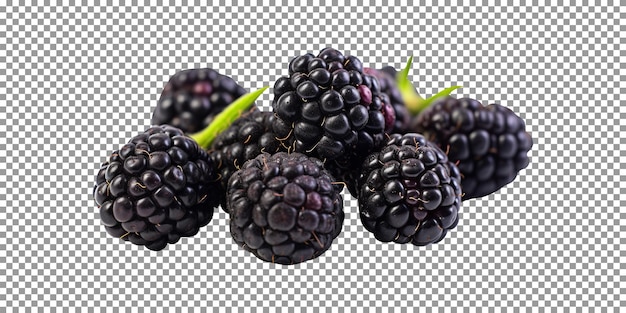 Cluster of fresh blackberries isolated on transparent background