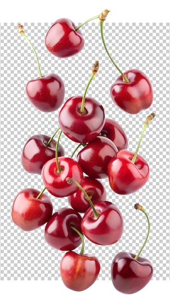 Cluster of ripe cherries with stems floating on white PNG isolated transparent