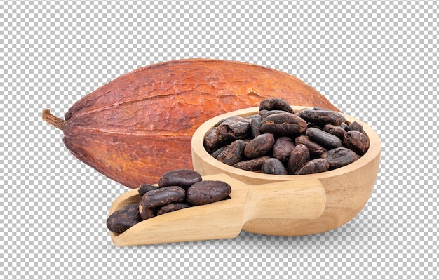 Cocoa isolated on alpha layer