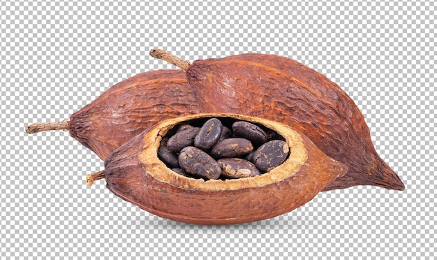 Cocoa isolated on alpha layer