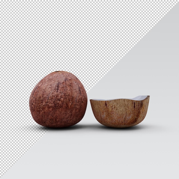 Coconut set isolated