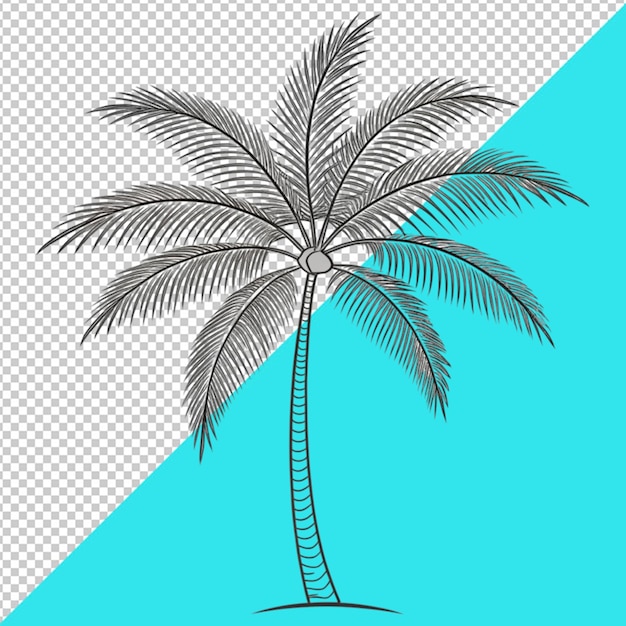 PSD coconut tree on transperent background