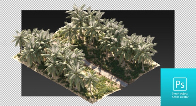 coconut trees and small plants and shrubs along the roadside isometric