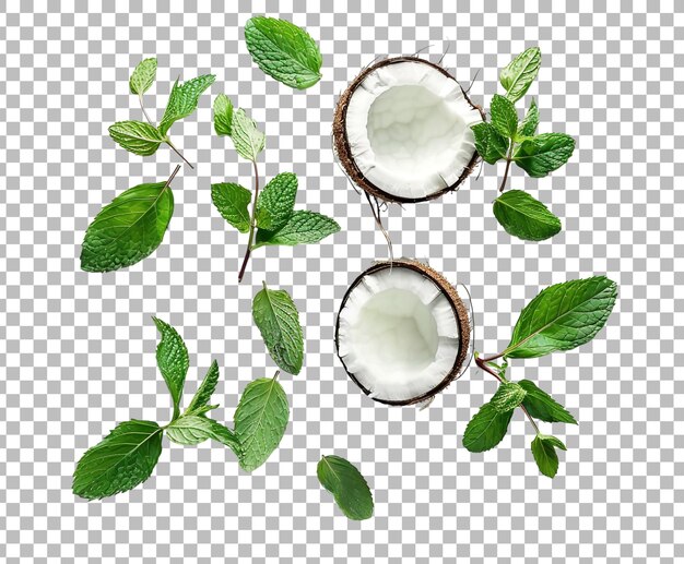 PSD coconut with mint leaves png isolated on transparent background