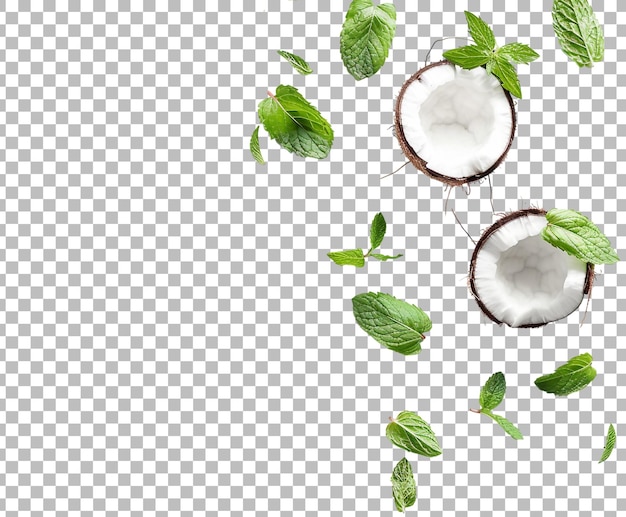 PSD coconut with mint leaves png isolated on transparent background