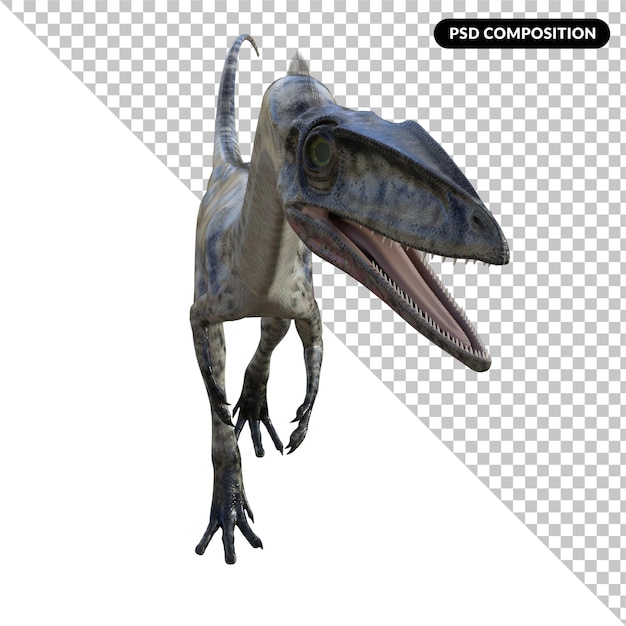 Coelophysis dinosaur isolated 3d render